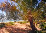 plage-sport-fishing-narinda